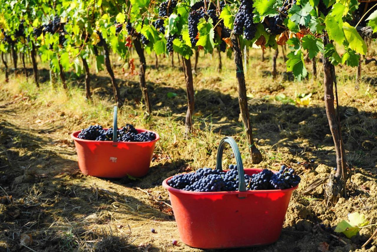 Fattoria Lornano Winery Monteriggioni Exterior foto